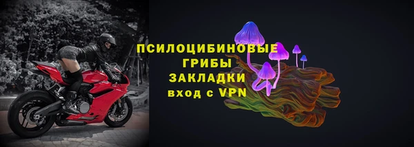винт Белокуриха