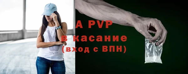 тгк Богданович
