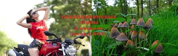 Альфа ПВП Беломорск