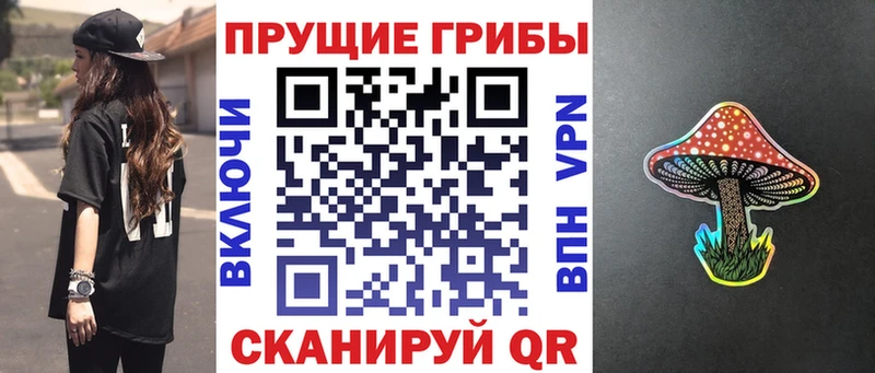 где купить наркоту  Воркута  Псилоцибиновые грибы мицелий 