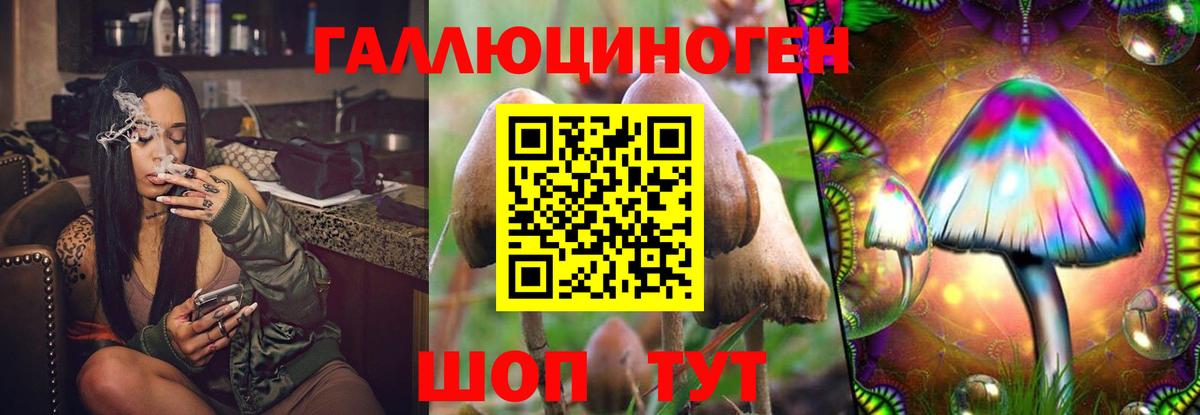 Воркута  продажа наркотиков  Вход с VPN  Галлюциногенные грибы прущие грибы 